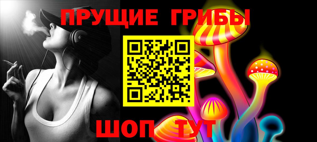 Псилоцибиновые грибы мицелий  Вход с VPN  Зеленокумск 